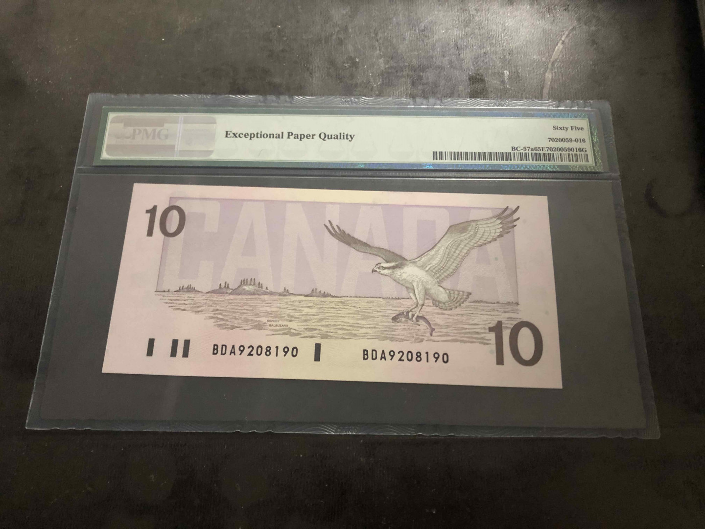 【收藏联盟】第104期拍卖 加拿大 1989年10元 PMG65EPQ 