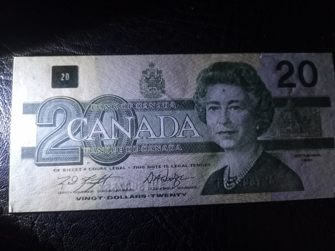 《外钞收藏家》第七十二期拍卖 加拿大1991年鸟版20加元  全新unc