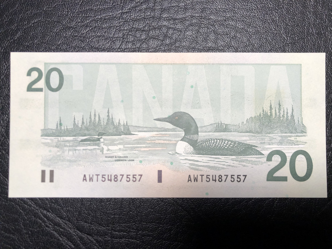 《外钞收藏家》第七十二期拍卖 加拿大1991年鸟版20加元  全新unc