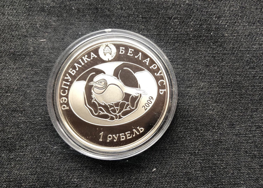 【币观天下】第八十七期钱币拍卖 白俄罗斯2009年发行鸟年系列之灰雁纪念镍币