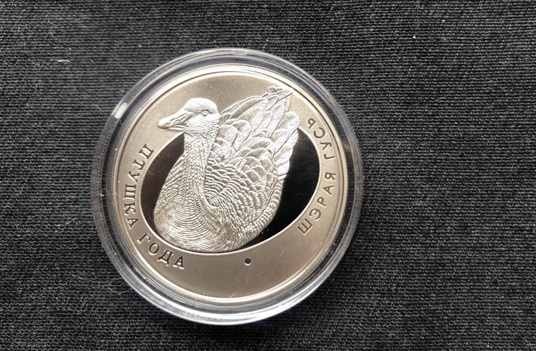 【币观天下】第八十七期钱币拍卖 白俄罗斯2009年发行鸟年系列之灰雁纪念镍币