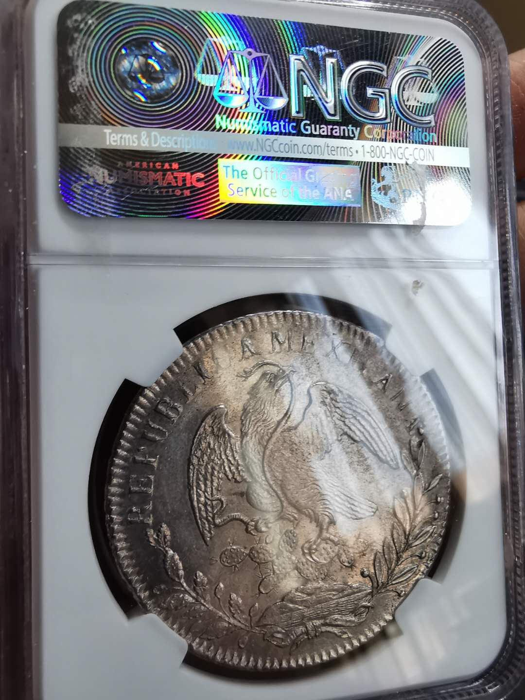 凡希社世界钱币微拍第一百期 1834ZS墨西哥鹰洋NGC-MS62