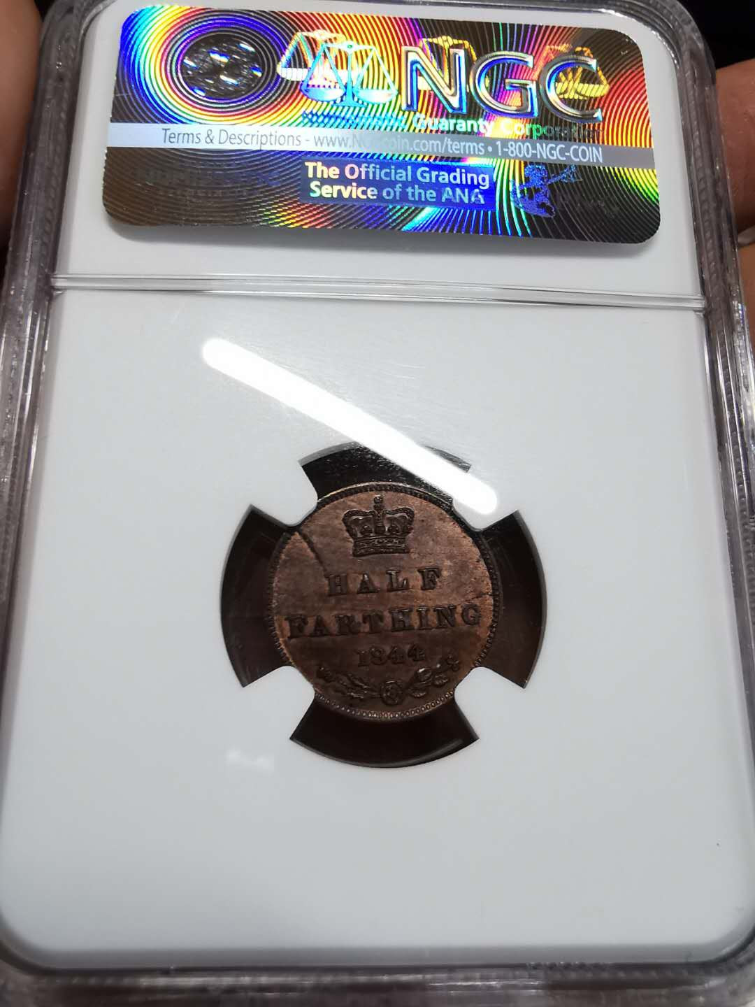 凡希社世界钱币微拍第一百期 1844英国小维1/2法新NGC-MS62