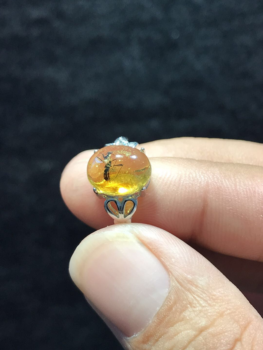 多米尼加琥珀专场 多米尼加精品虫珀戒指（女款）