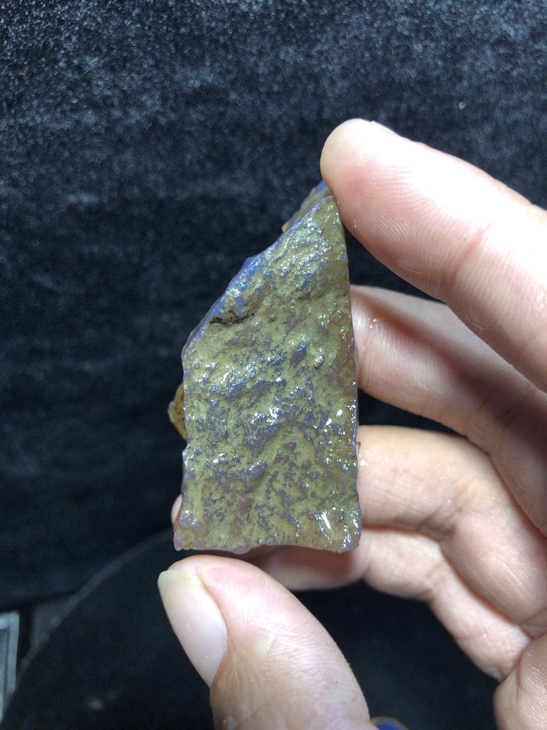 多米尼加琥珀专场 多米尼加蓝珀原石