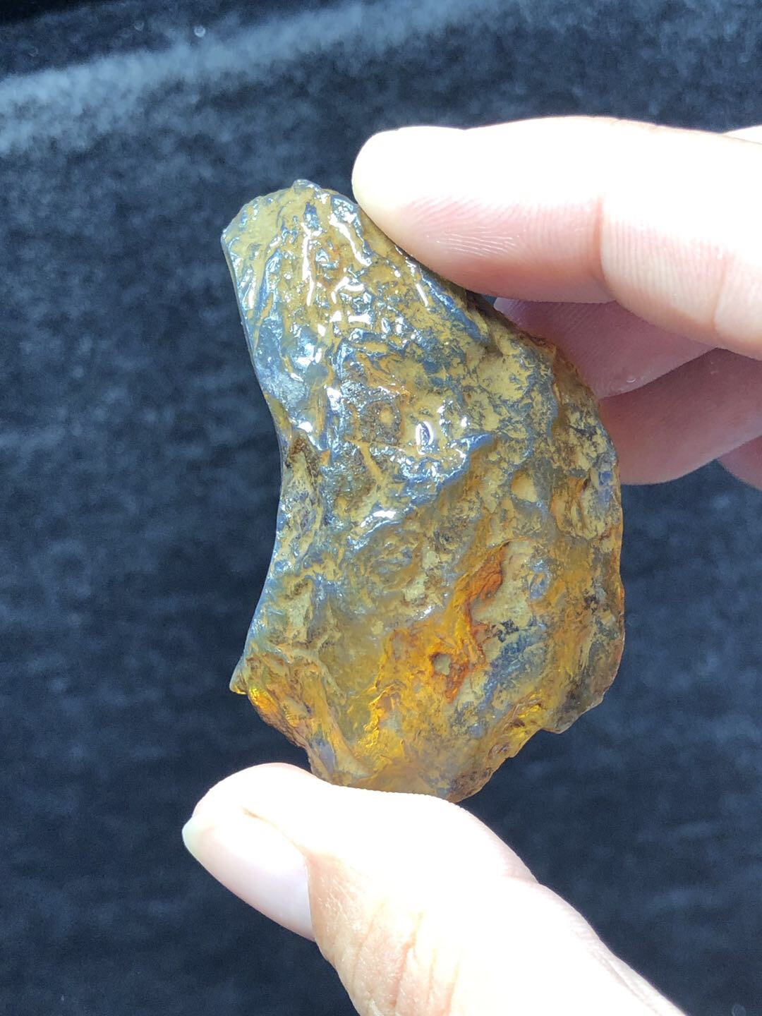 多米尼加琥珀专场 多米尼加蓝珀原石