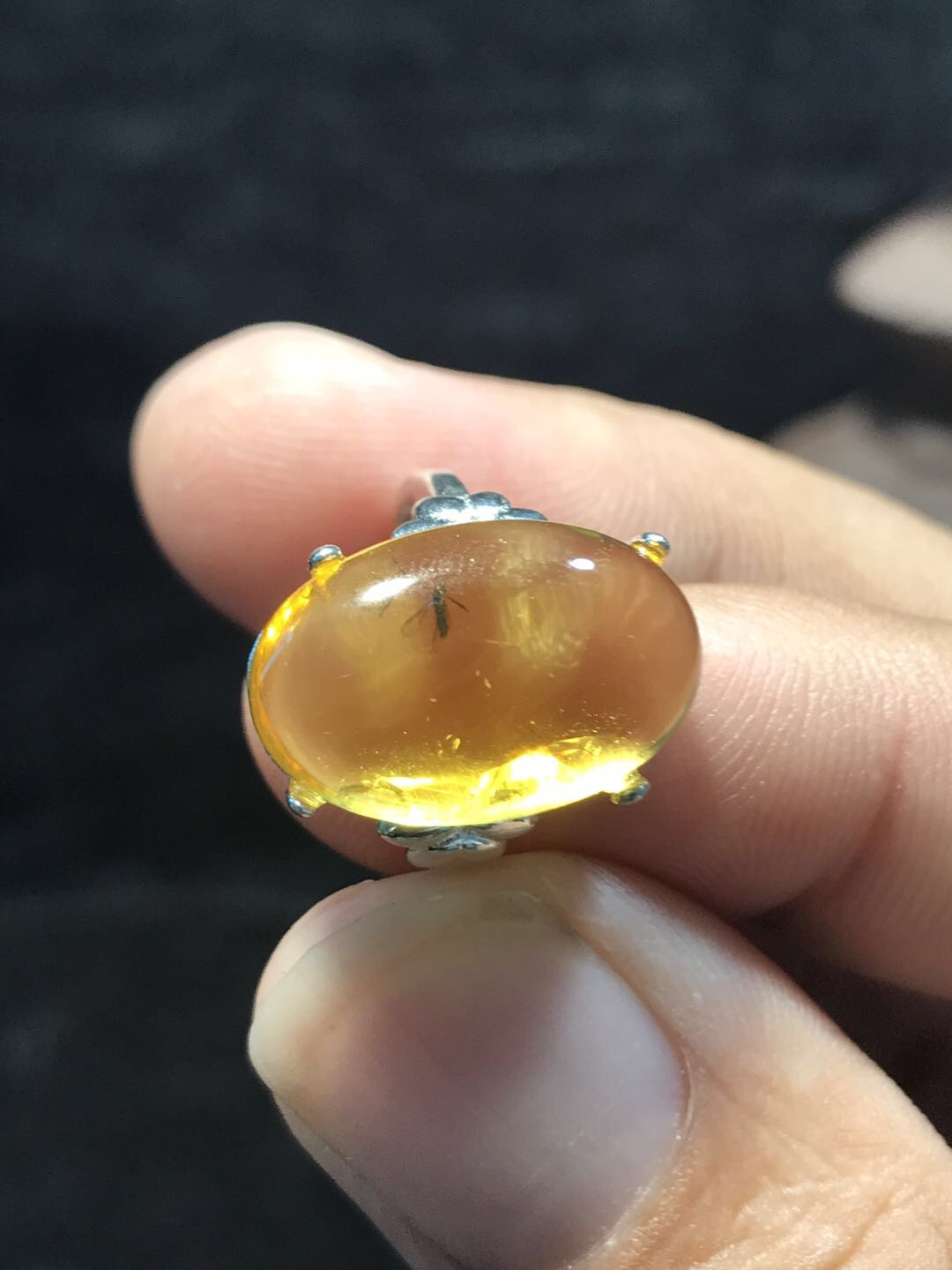 多米尼加琥珀专场 多米尼加虫珀戒指（女款）