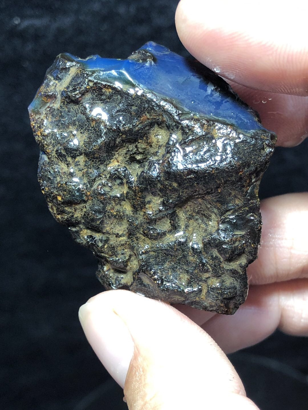 多米尼加琥珀专场 多米尼加蓝珀原石（稀有红皮料）