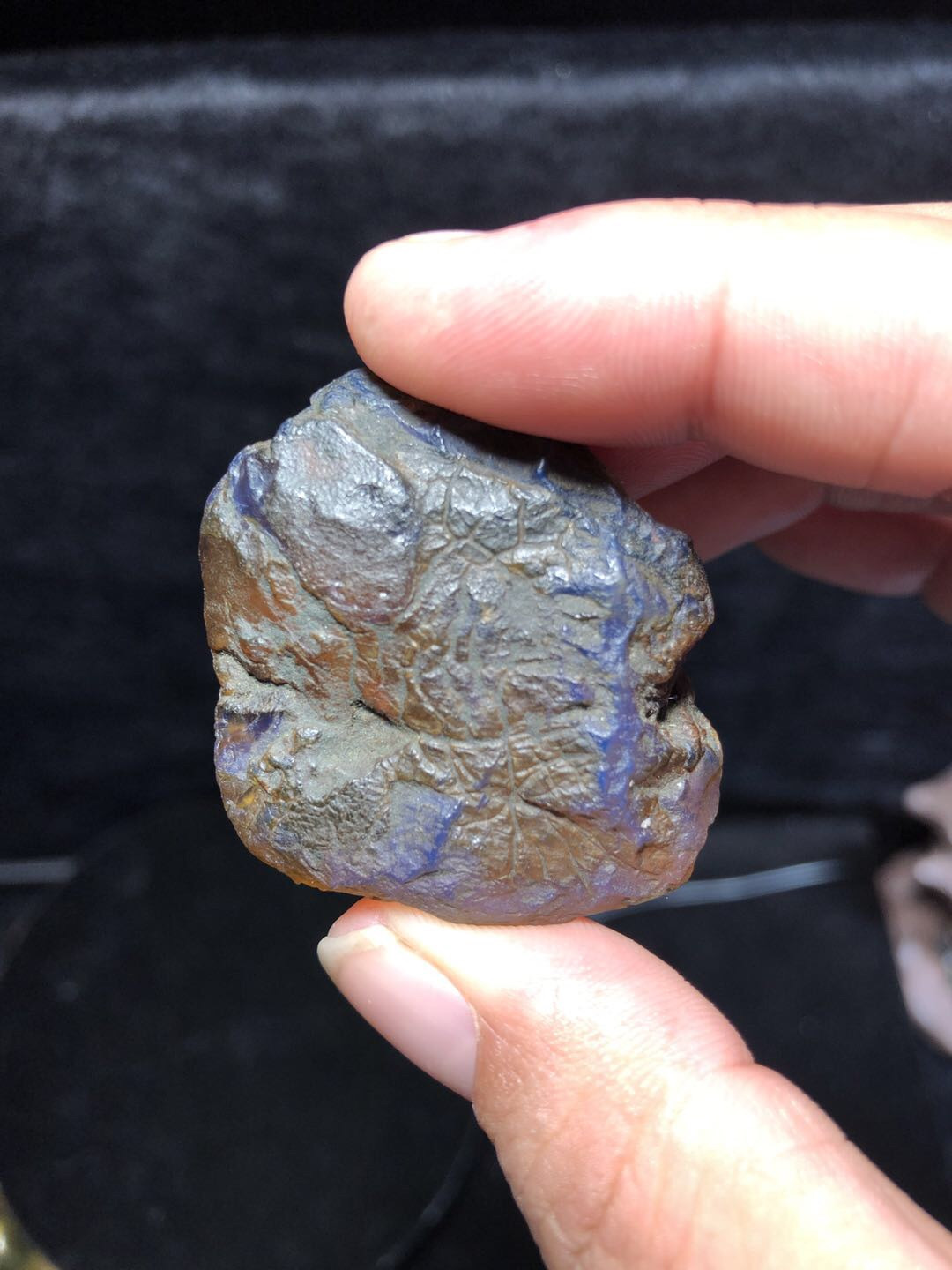 多米尼加琥珀、缅甸天然琥珀拼拍专场 多米尼加蓝珀原石