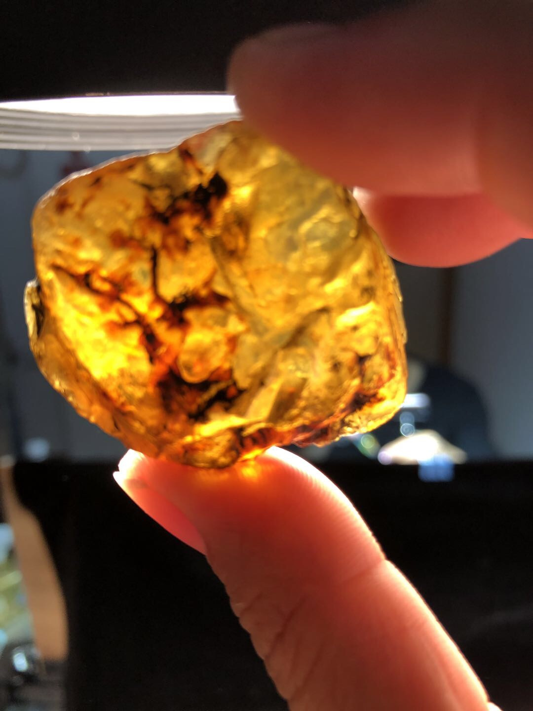 多米尼加琥珀、缅甸天然琥珀拼拍专场 多米尼加蓝珀原石