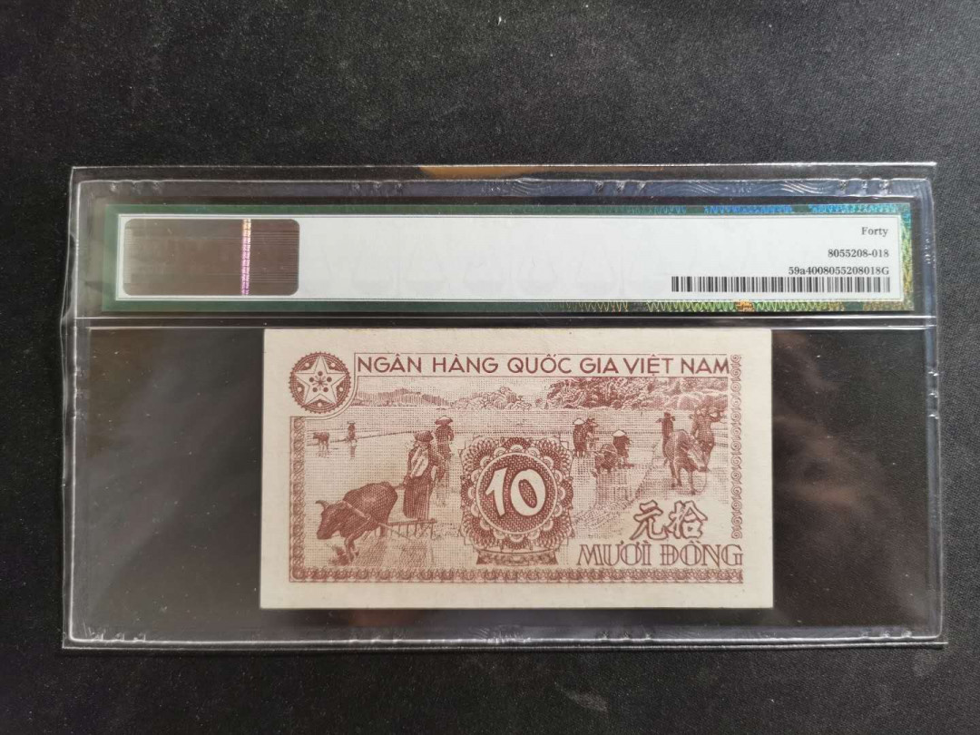 【鲸贝乐淘】★北京国际钱币博览会专场★ 千字文·第“鸟官人皇”号秒价场 【越南】1951年10盾，PMG40