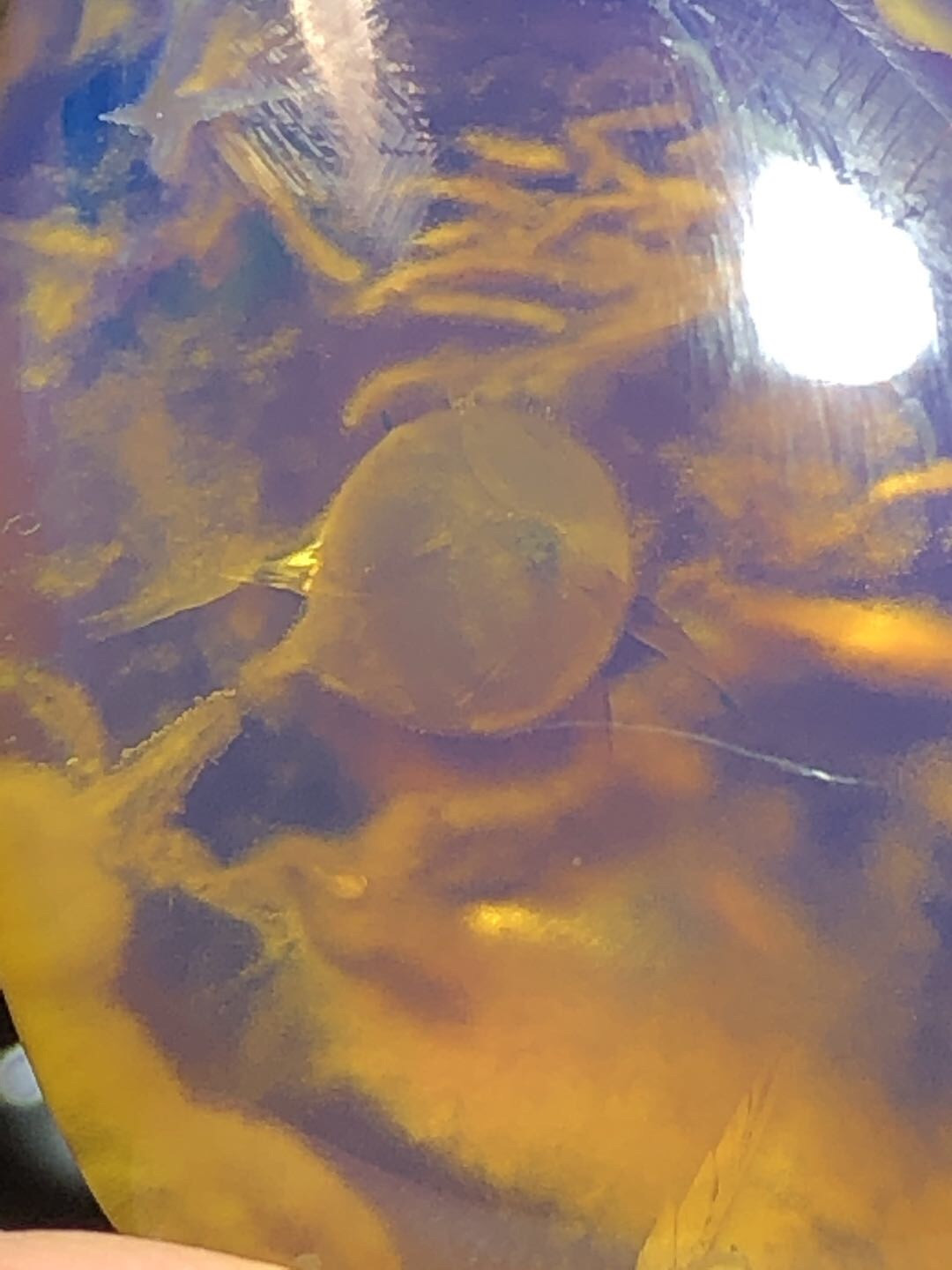 缅甸精品琥珀专场 收藏级精品缅甸高白蓝随形吊坠