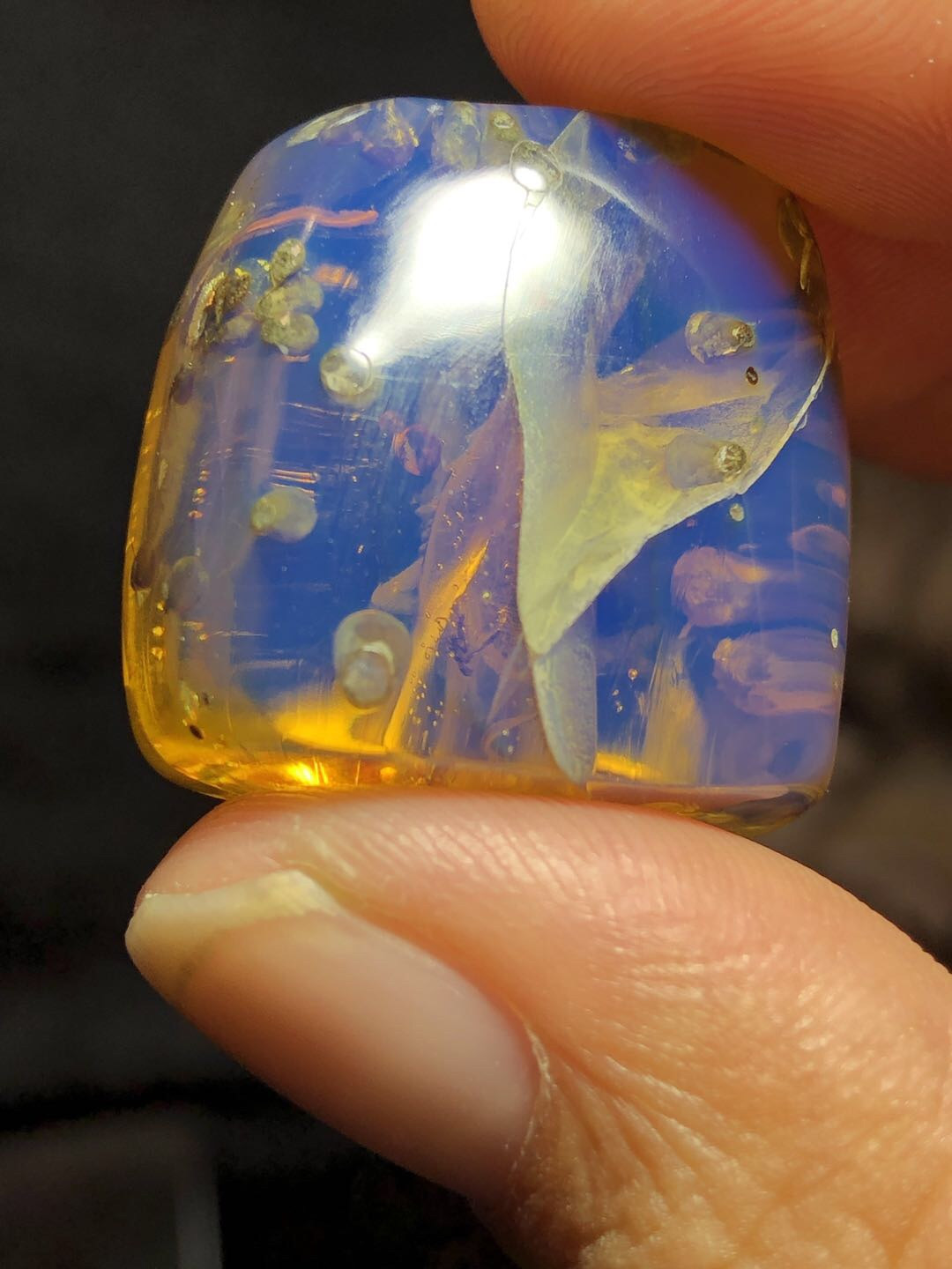 缅甸精品琥珀专场 收藏级精品虫珀！缅甸高白蓝风景虫珀