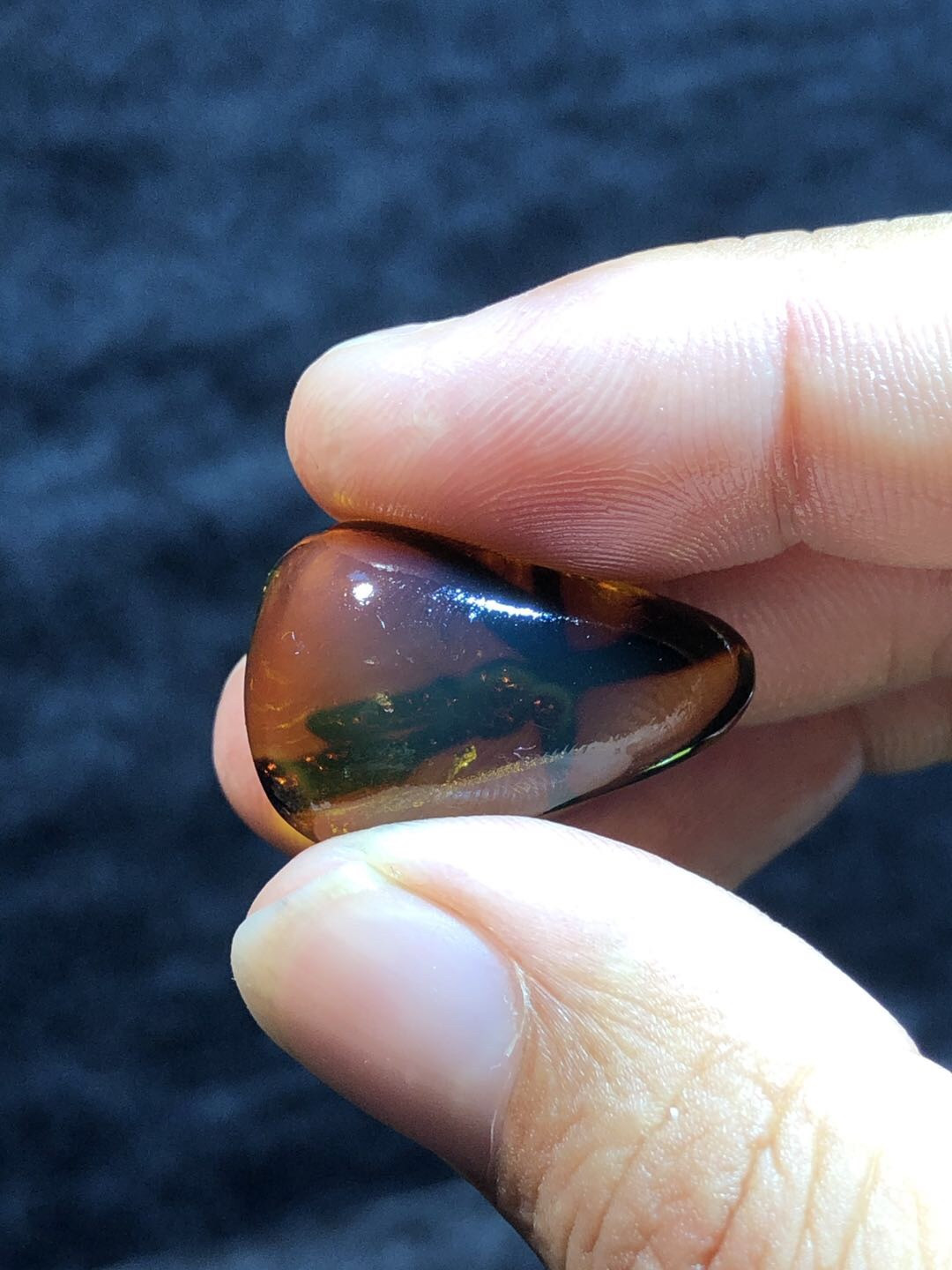 多米尼加蓝珀专场 多米尼加植物珀随型