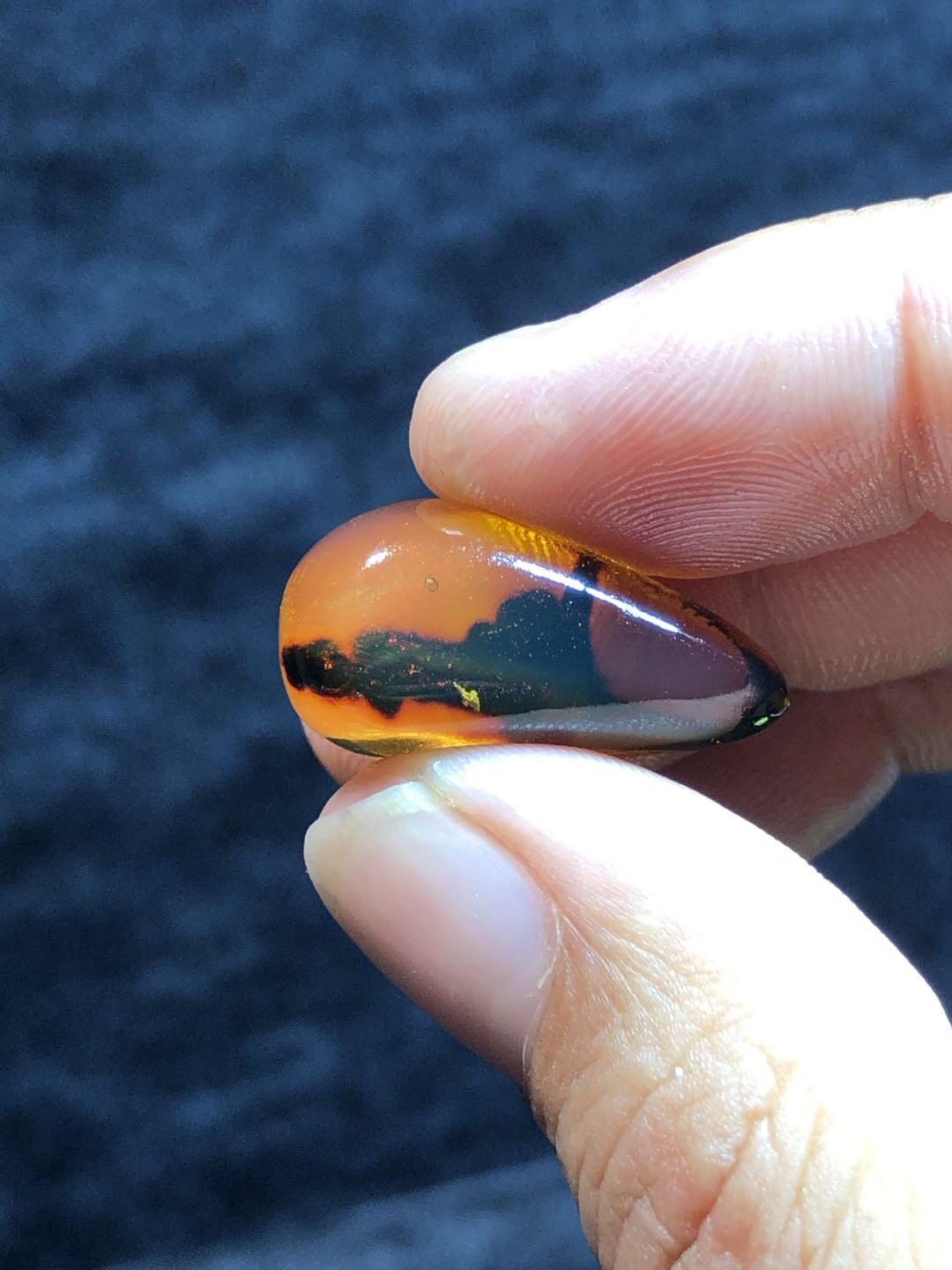 多米尼加蓝珀专场 多米尼加植物珀随型