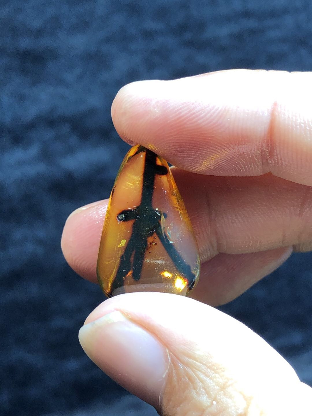 多米尼加蓝珀专场 多米尼加植物珀随型