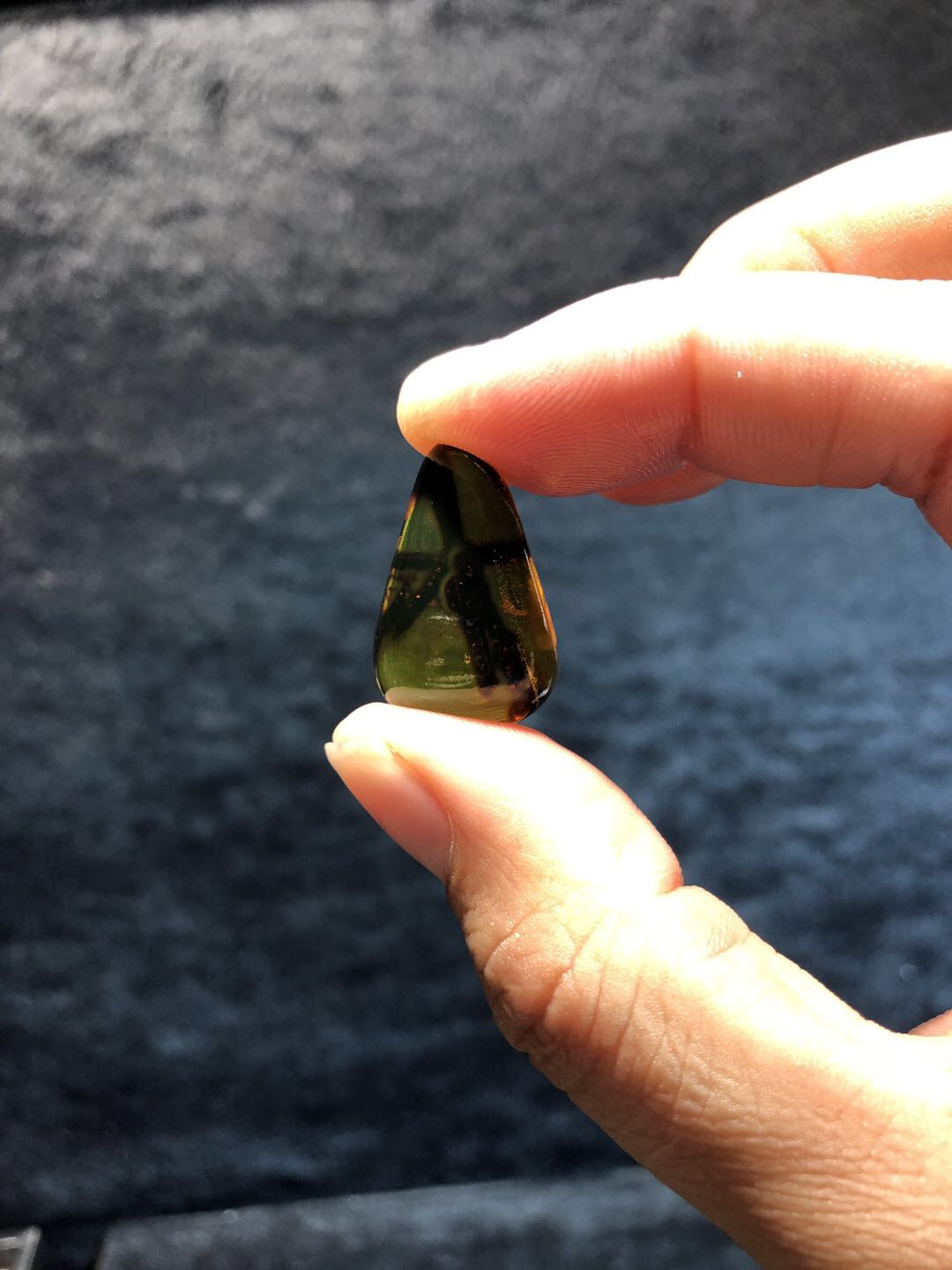 多米尼加蓝珀专场 多米尼加植物珀随型