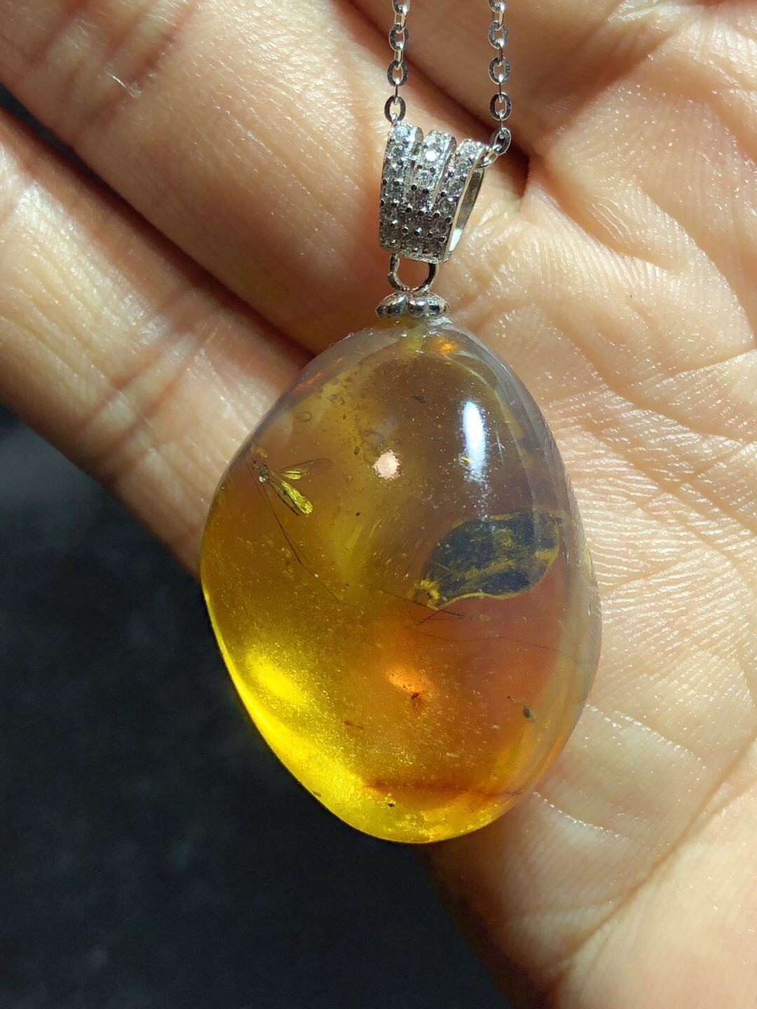 多米尼加蓝珀专场 多米尼加虫珀植物珀