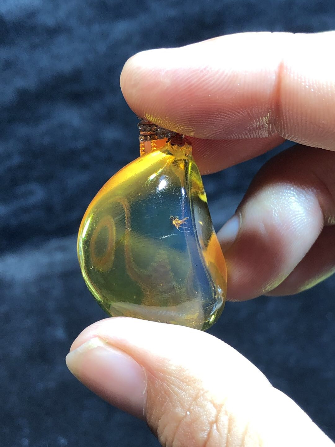 多米尼加蓝珀专场 多米尼加虫珀随形吊坠