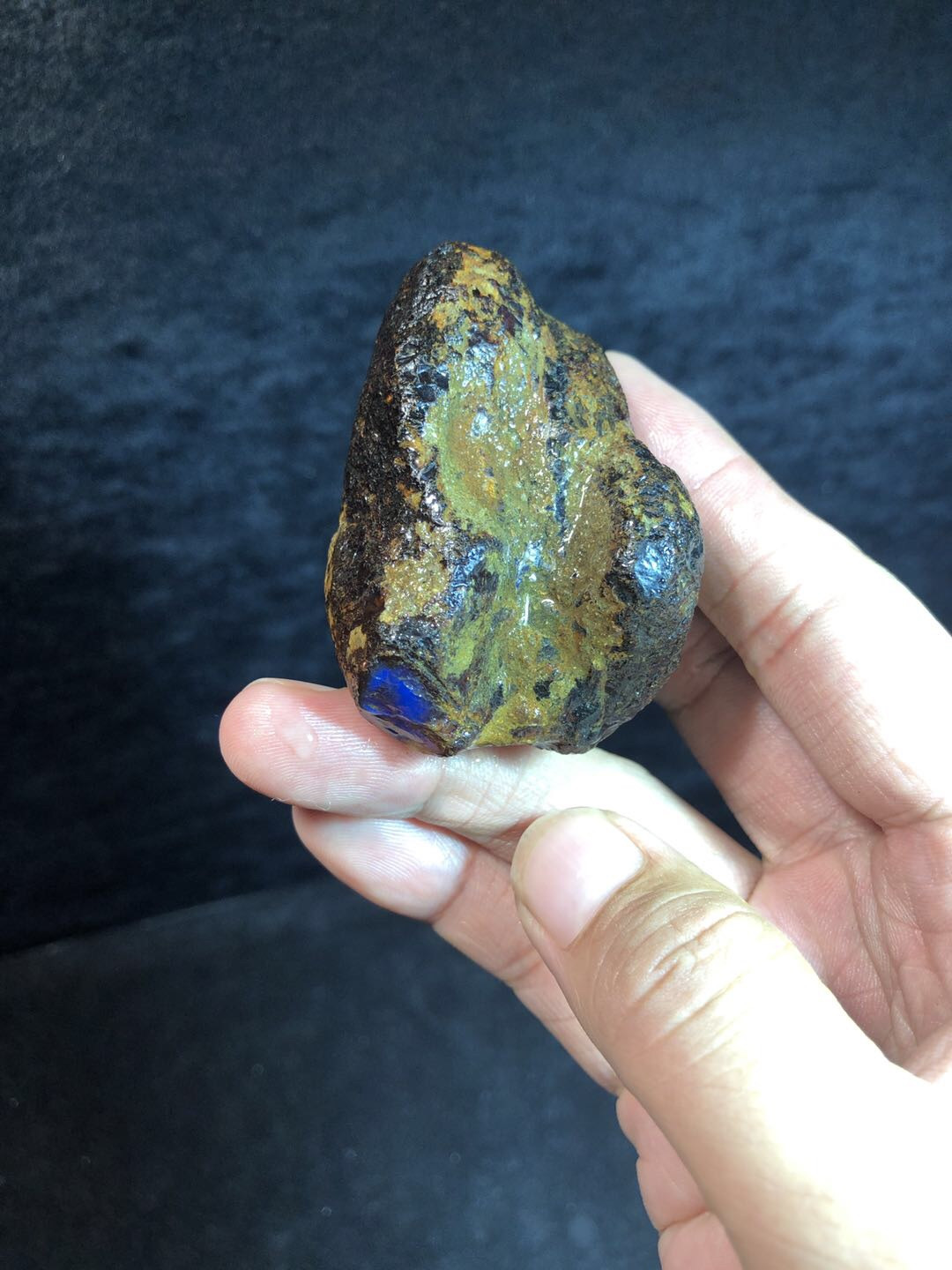 多米尼加蓝珀专场 多米尼加蓝珀红皮原石料