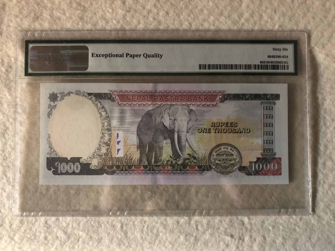 【收藏联盟】第110期拍卖——悠远岛歌 尼泊尔 2016年 1000卢比 PMG66EPQ 大象