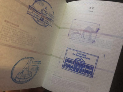 【随心&Getcoins】现代金银币拍卖四十一期 【2016护照】钱币护照【无荧光章版本】