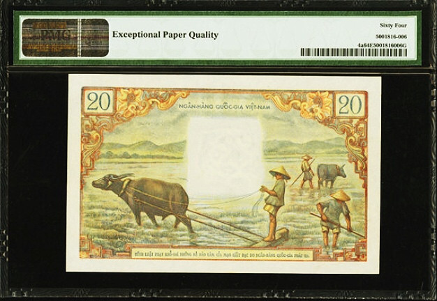 【收藏联盟】第111期拍卖——流光溢彩 【高性价比】南越 1956年 20盾 PMG64EPQ UNC 原票 屌丝三宝之一 经典芭蕉花