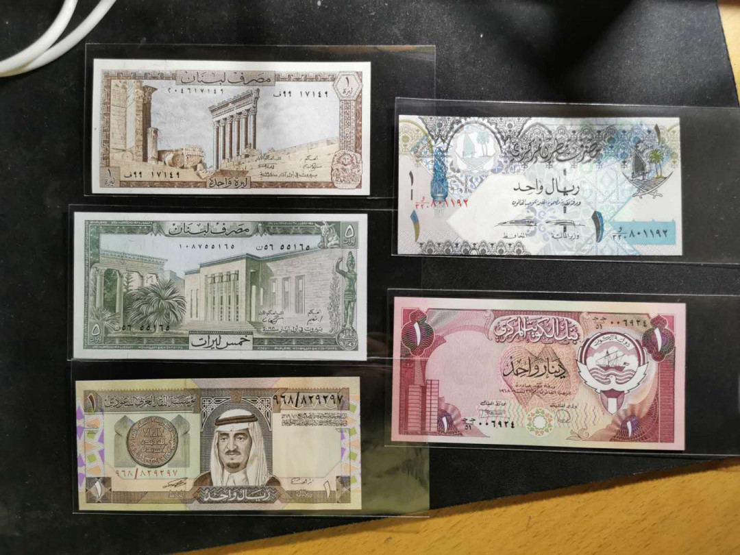 【鲸贝乐淘】千字文·第“乃服衣裳”号拍卖 【阿拉伯国家】14张阿拉伯国家钱币，全新全品UNC,除了萨达姆，全都不认识😅 