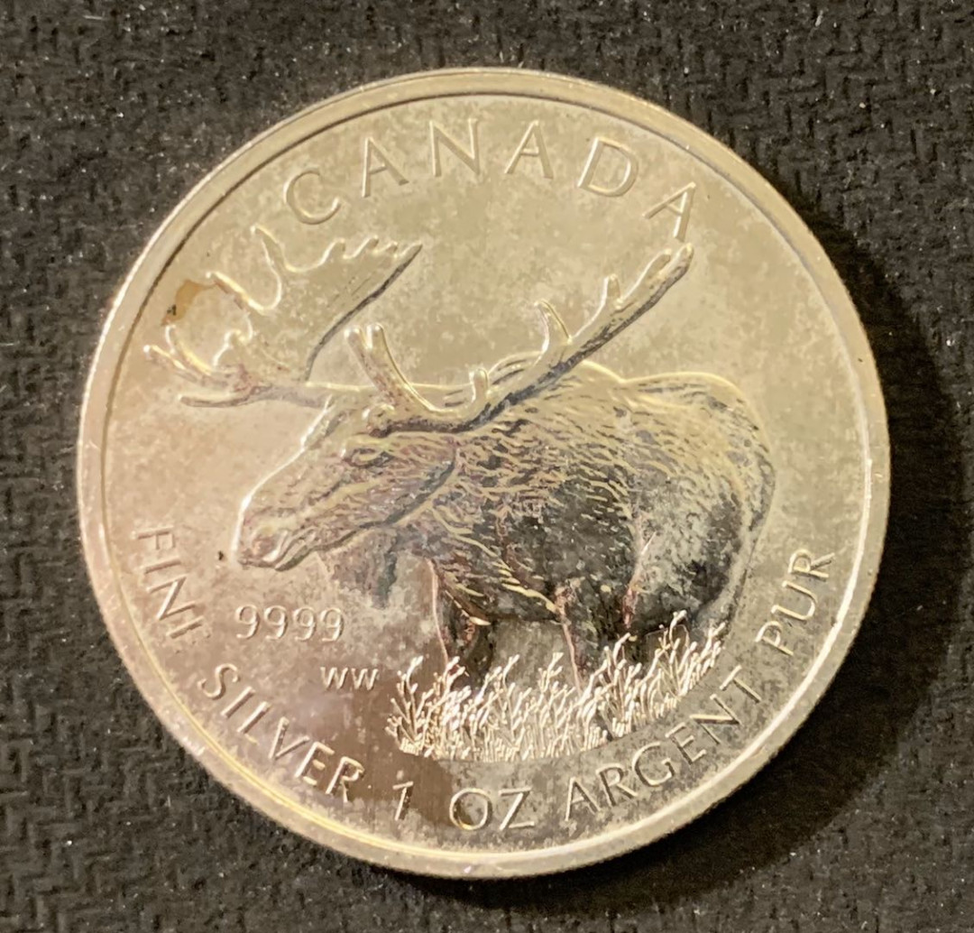 紫瑗钱币—微拍第六期  外国现代银币场 加拿大 2012年 牦牛 5元 31.1克 0.9999银 