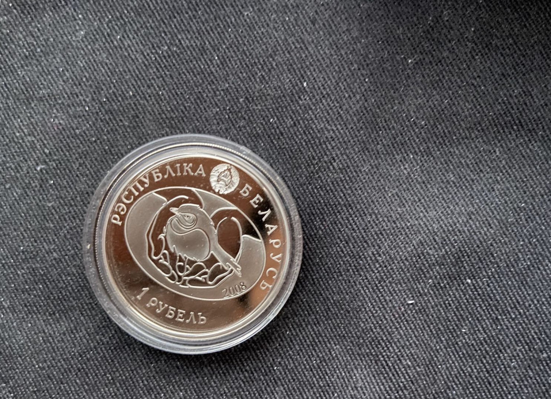 【币观天下】第九十五期钱币拍卖 【白俄罗斯】白俄罗斯 2008年发行大白鹭纪念镍币