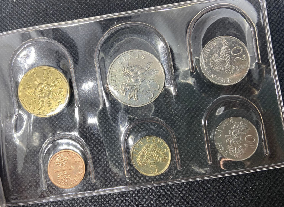 【币观天下】第九十五期钱币拍卖 【印尼+新加坡】流通币11枚