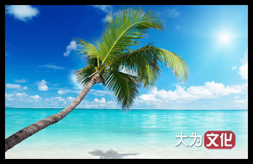 【大为文化】    世界纸币 / 冬拍 / 第二期    【2019】    马尔代夫  5 拉菲亚   P-4b  1960/AH1379  PMG 65EPQ