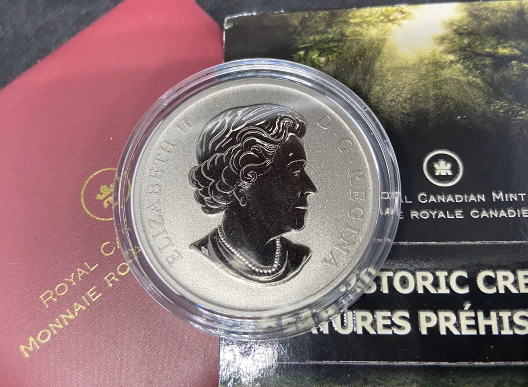 【币观天下】第九十五期钱币拍卖 【加拿大】2013夜光恐龙镍币