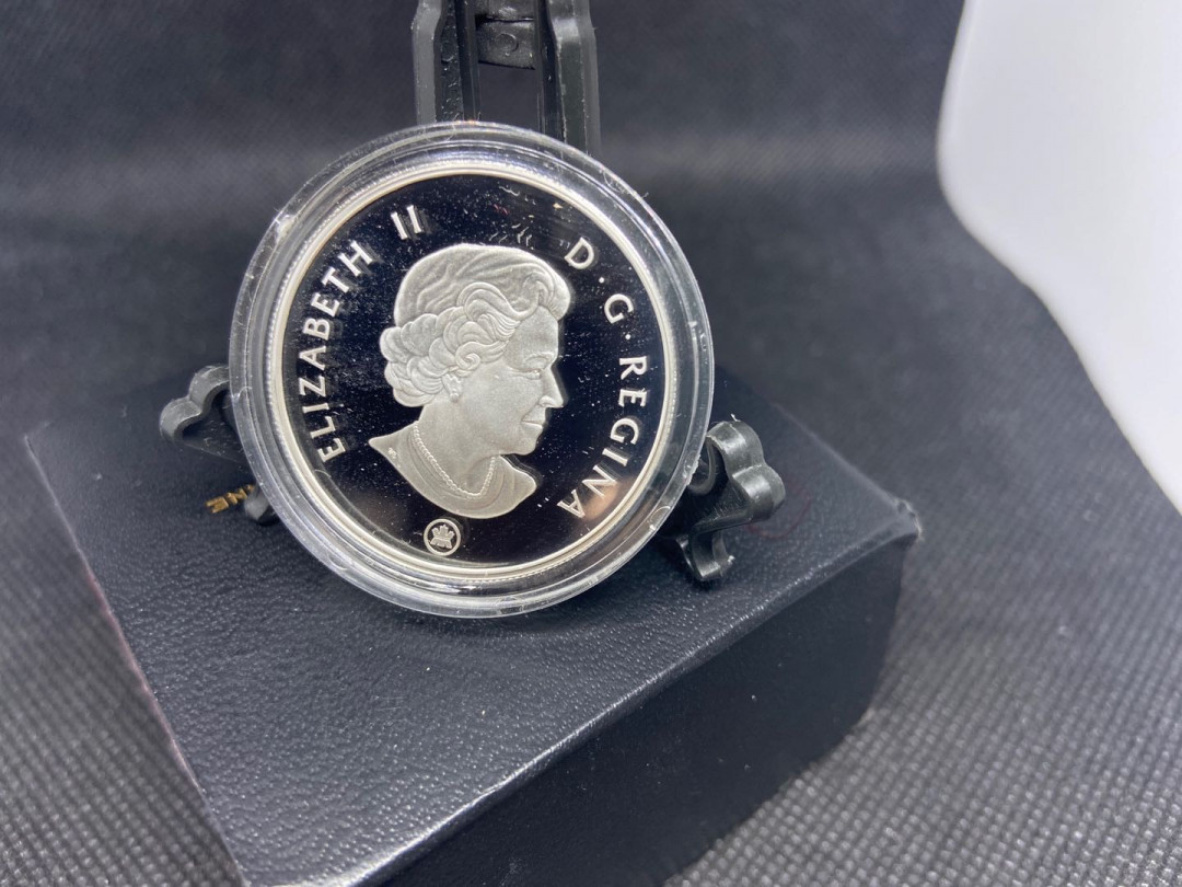 【币观天下】第九十五期钱币拍卖 【加拿大】加拿大恐2008三角龙化石银币