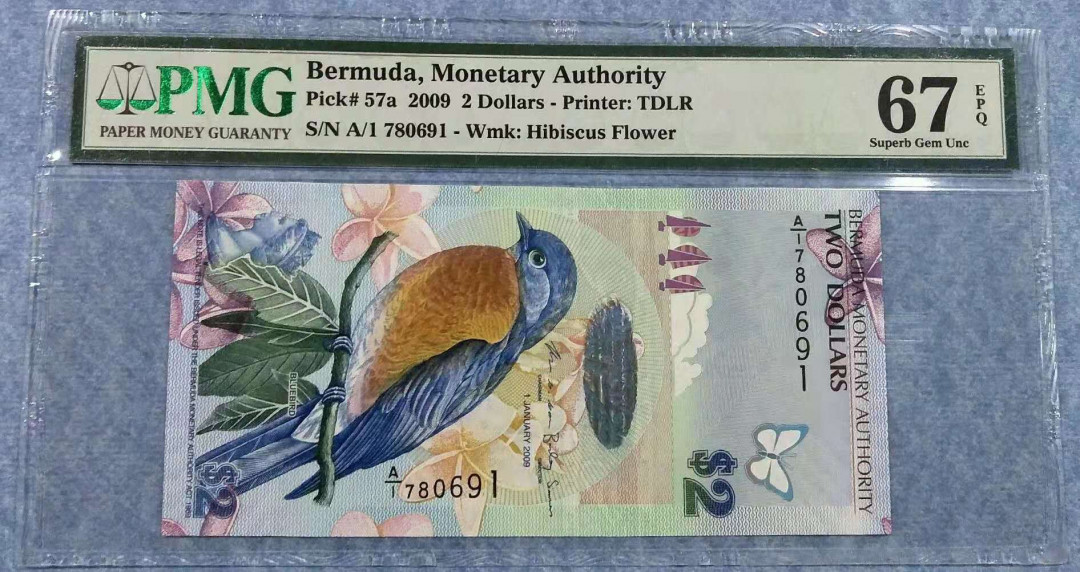 【鲸贝乐淘】千字文·第“推位让国”号拍卖 【百慕大】2009年2元，漂亮的小家雀，PMG67E