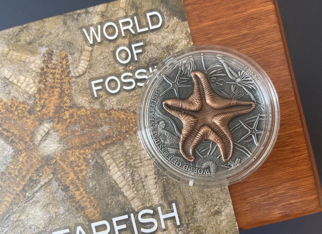 【币观天下】第九十六期钱币拍卖 【纽埃】高浮雕系列1.纽埃2019年2元，2盎司 龙头币 超高浮雕 仿古 镀金，世界化石系列(1)-“海星”超高浮雕仿古镀金彩色精制银币