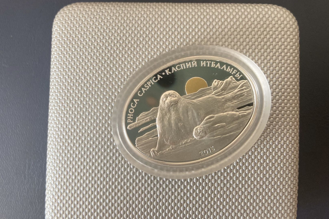 【币观天下】第九十六期钱币拍卖 【哈萨克斯坦】2013年海豹镀金银币【24g】