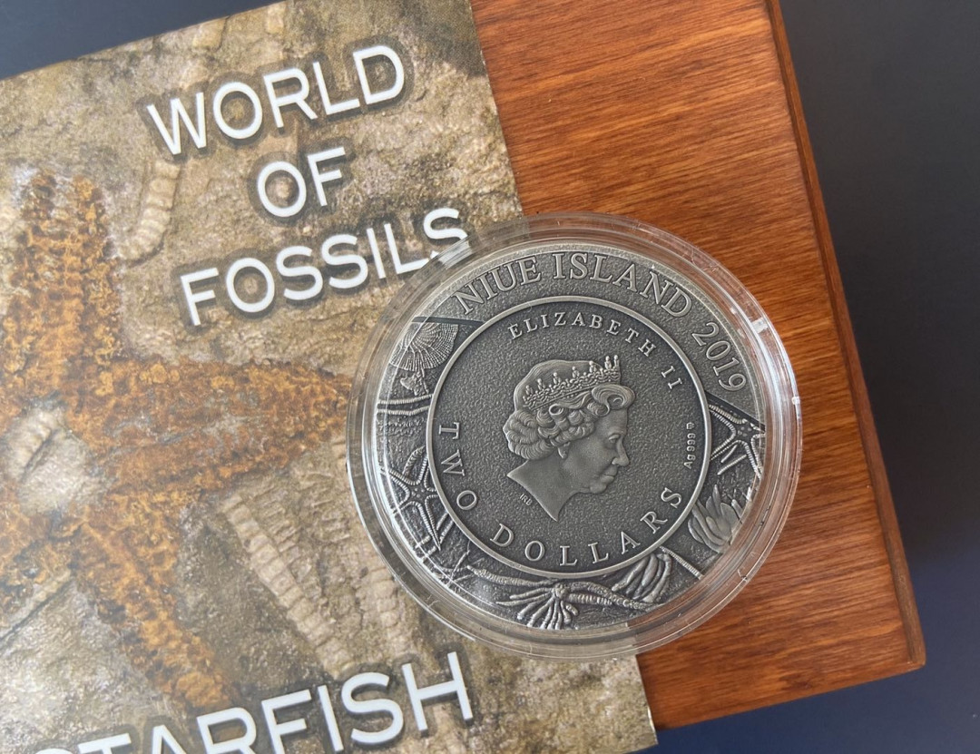 【币观天下】第九十六期钱币拍卖 【纽埃】高浮雕系列1.纽埃2019年2元，2盎司 龙头币 超高浮雕 仿古 镀金，世界化石系列(1)-“海星”超高浮雕仿古镀金彩色精制银币