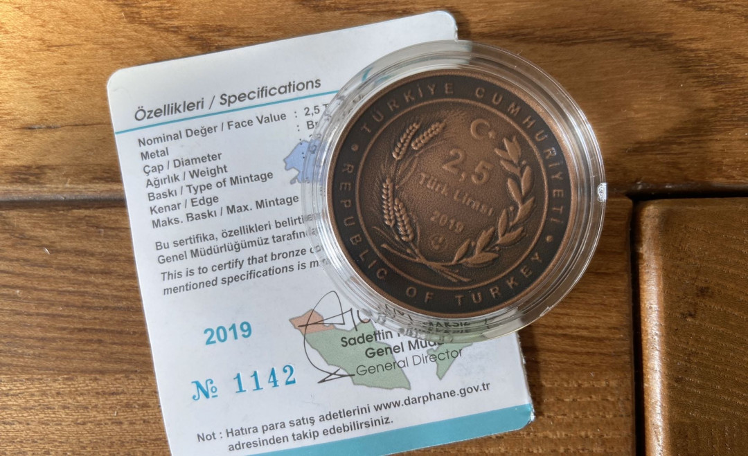 【币观天下】第九十六期钱币拍卖 【土耳其】土耳其铜币秒杀【地图图案】