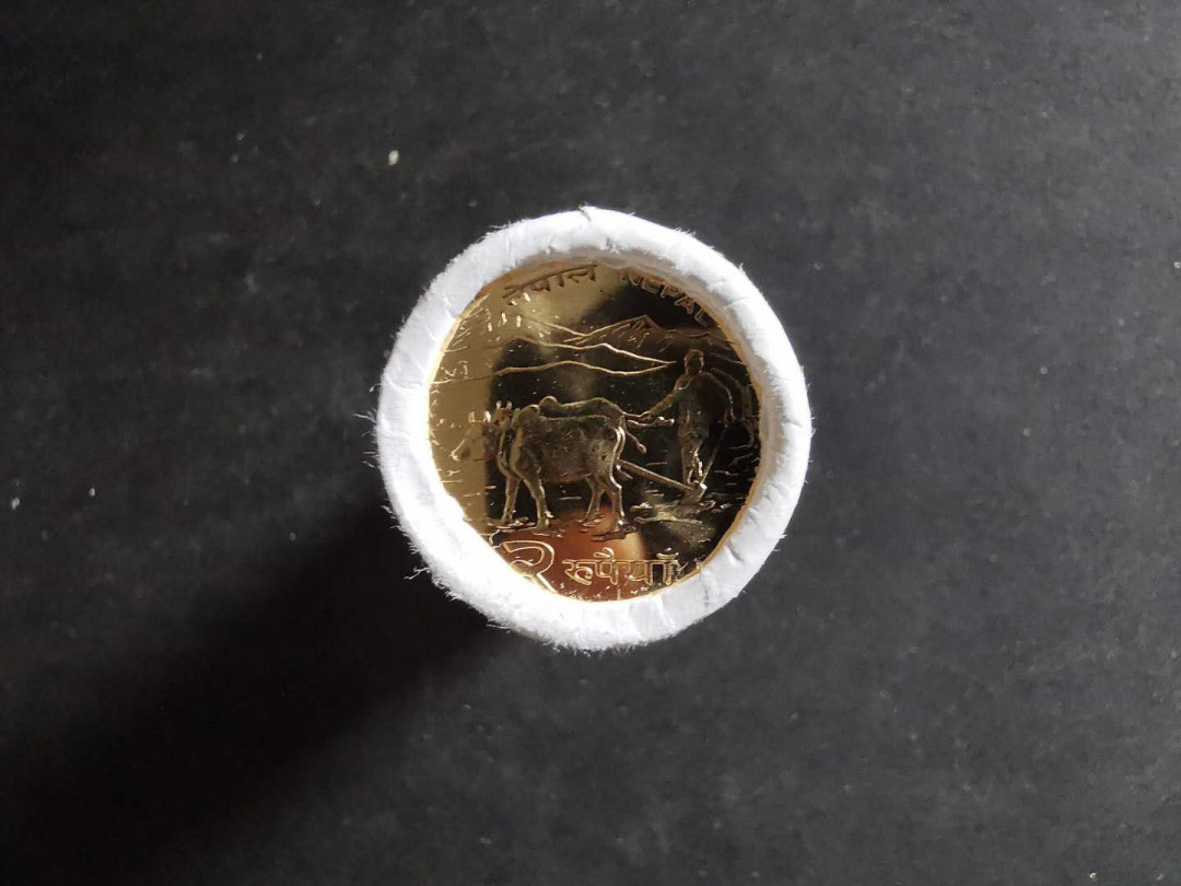 【鲸贝乐淘】千字文·第“吊民伐罪”号拍卖 【中国代印】2009年尼泊尔2卢比，整卷50枚，卷裂了