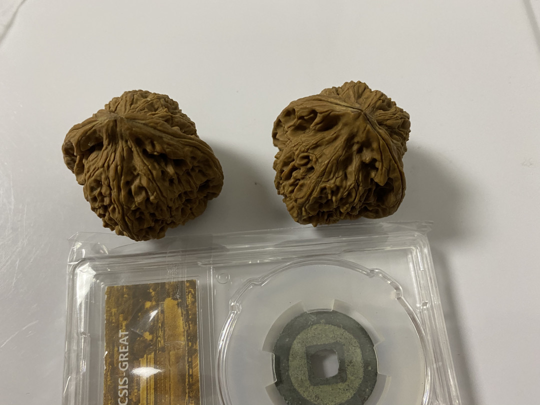 CSIS-GREAT评级精品钱币拍卖第二十期 文玩核桃 品如图