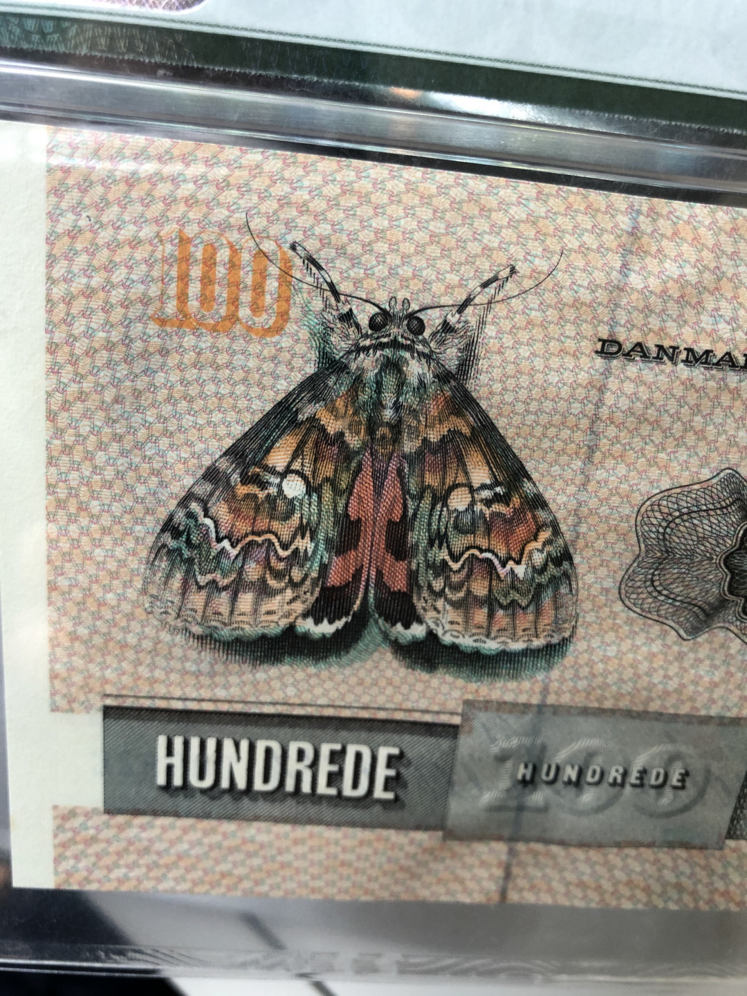 《外钞收藏家》第七十五期拍卖目录 丹麦动物版 1998年100克朗 pmg66 颜色非常漂亮的蛾子