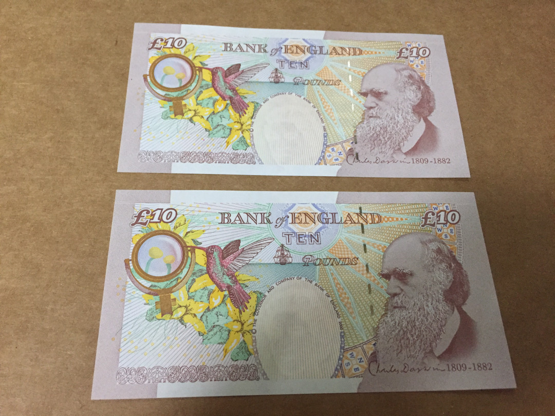 【收藏联盟】第118期拍卖——英伦三岛 【一组2张】英国 2000版10镑 外币E序列 达尔文 蜂鸟 全新UNC 两连号