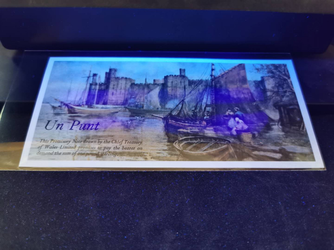 【鲸贝乐淘】千字文·第“臣伏戎羌”号拍卖 【威尔士】1磅，全新全品UNC ，未发行，彩背