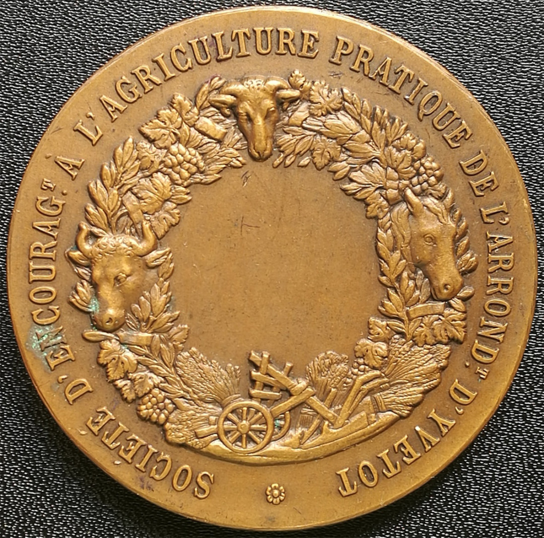 麦朵尔俱乐部第14场拍卖 国家互助医院纪念大铜章