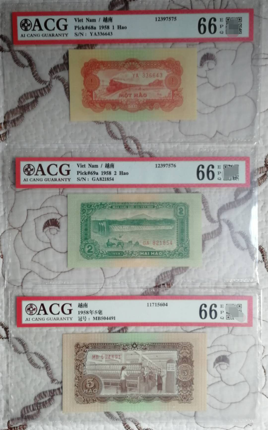 【鲸贝乐淘】千字文·第“率宾归王”号拍卖 【中国代印】越南1958年小套爱藏 66分绝品！