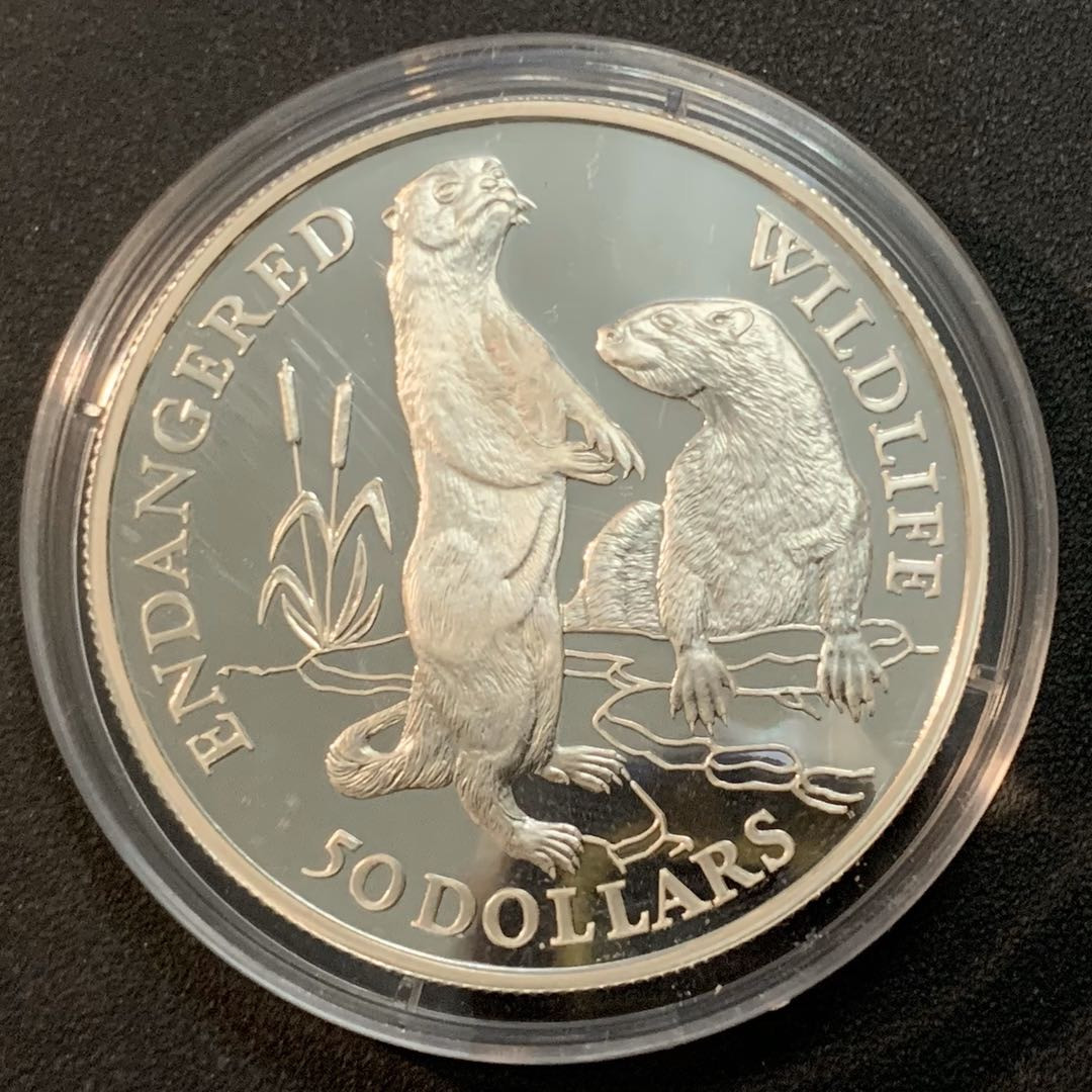 紫瑗钱币—微拍第27期  库克 1991年 世界濒危野生动物系列 旱獭 50元 19.2克 0.925银 精制
