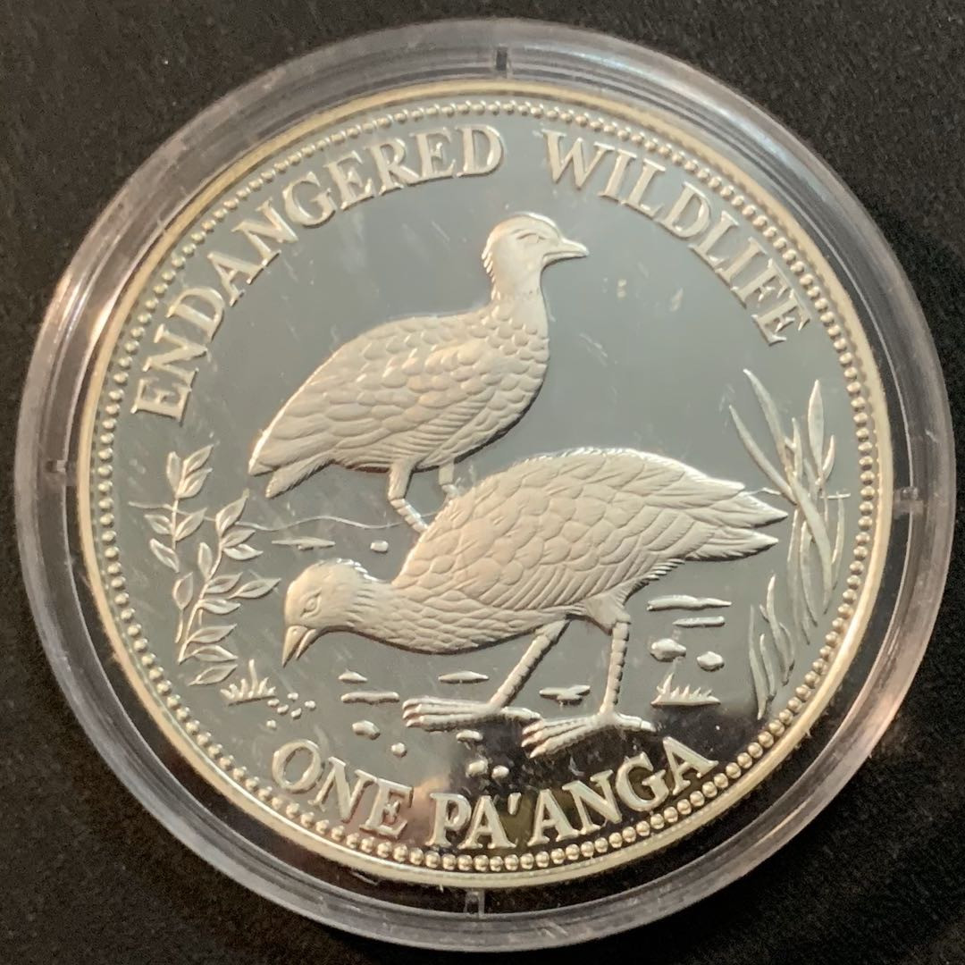紫瑗钱币—微拍第27期  汤加 1991年 保护动物系列 冢雉 1 潘加 31.6克 0.925银 精制