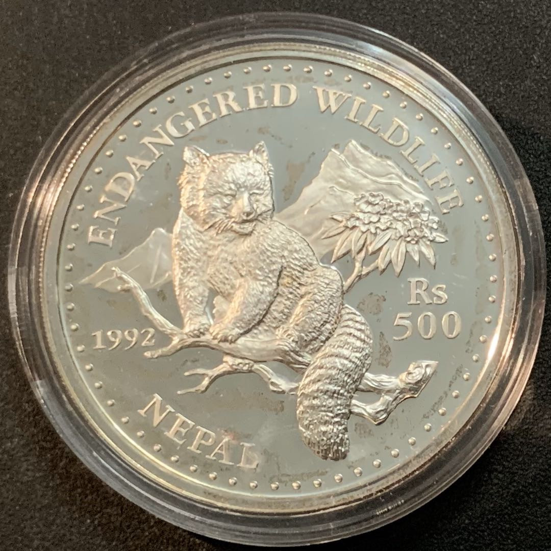 紫瑗钱币—微拍第28期  尼泊尔 1992年 濒危动物系列 小熊猫 31.47克 0.925银 精制