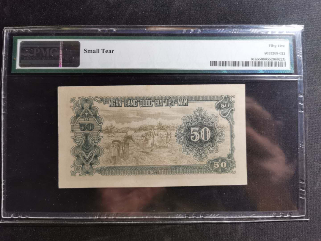 【鲸贝乐淘】千字文·第“白驹食场”号拍卖 【中国代印】1951年越南🇻🇳 50盾，棕色版，pMG55